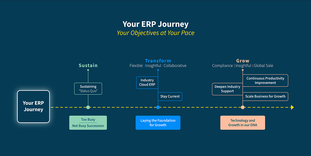Your ERP Journey graph